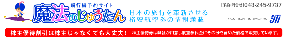 飛行機予約サイト【魔法のじゅうたん】